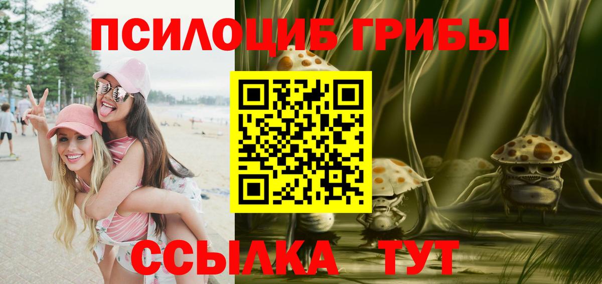 Галлюциногенные грибы прущие грибы Череповец